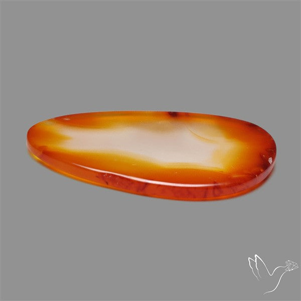 Gemmy Montana Agate Flat Slice Cabochon