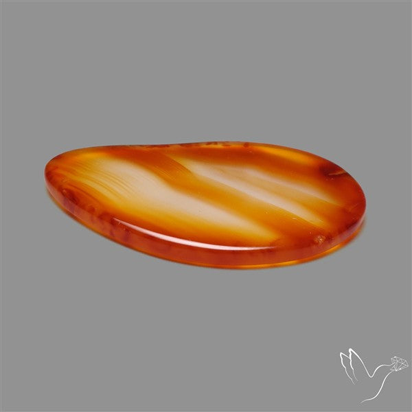 Gemmy Montana Agate Flat Slice Cabochon