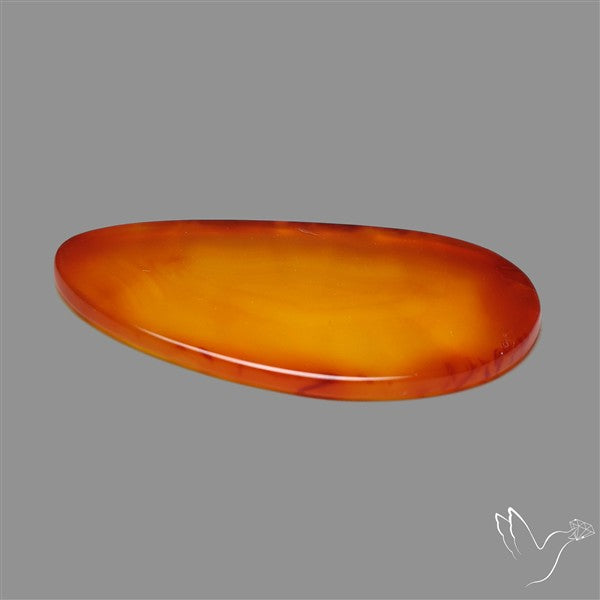 Gemmy Montana Agate Flat Slice Cabochon