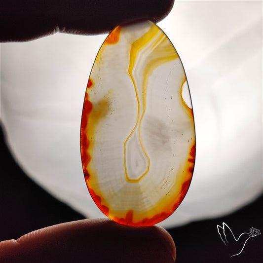 Gemmy Montana Agate Flat Slice Cabochon