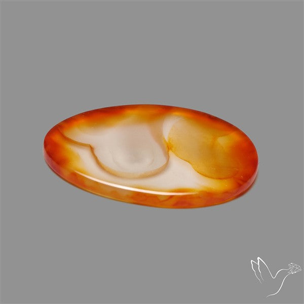 Gemmy Montana Agate Flat Slice Cabochon