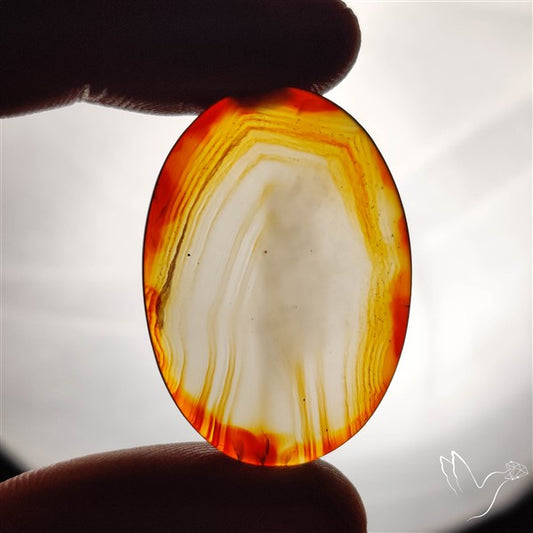 Gemmy Montana Agate Flat Slice Cabochon