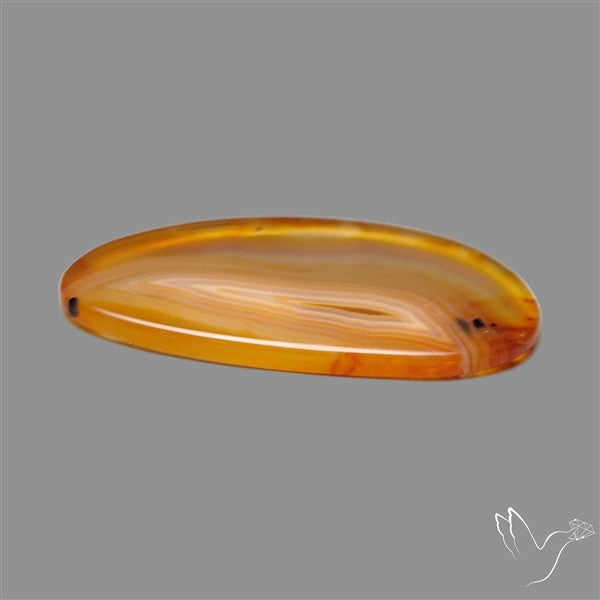 Gemmy Montana Agate Flat Slice Cabochon