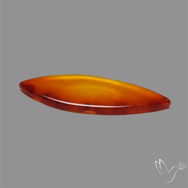 Gemmy Montana Agate Flat Slice Cabochon