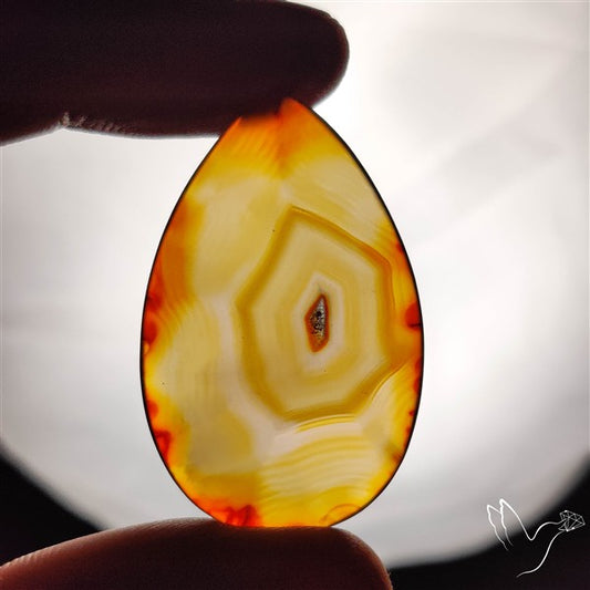 Gemmy Montana Agate Flat Slice Cabochon