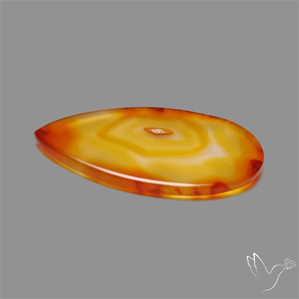 Gemmy Montana Agate Flat Slice Cabochon