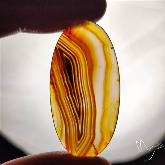Gemmy Montana Agate Flat Slice Cabochon