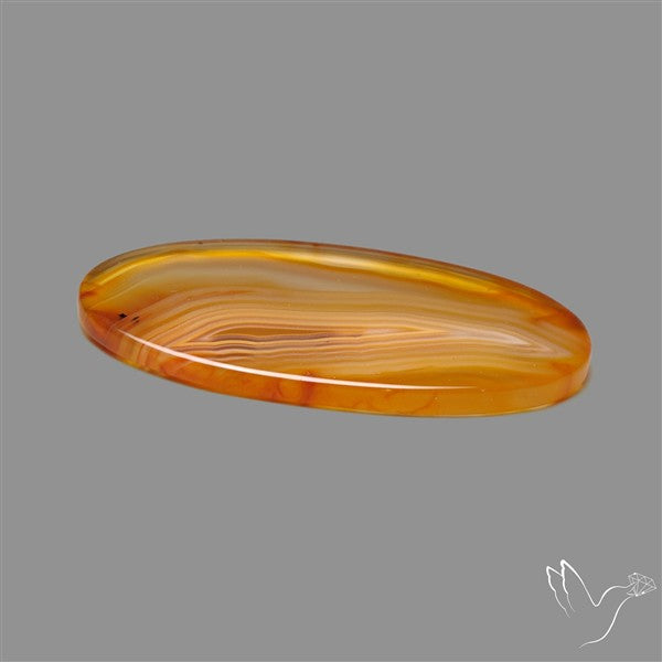 Gemmy Montana Agate Flat Slice Cabochon