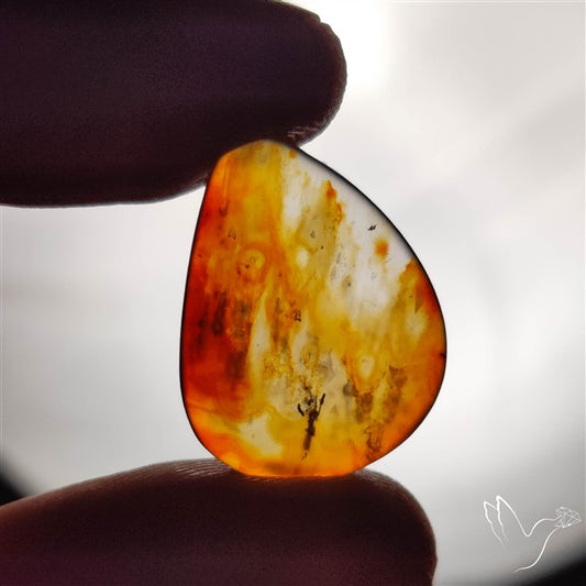 Gemmy Montana Agate Flat Slice Cabochon