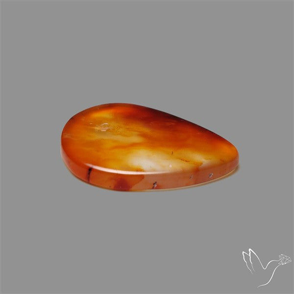 Gemmy Montana Agate Flat Slice Cabochon