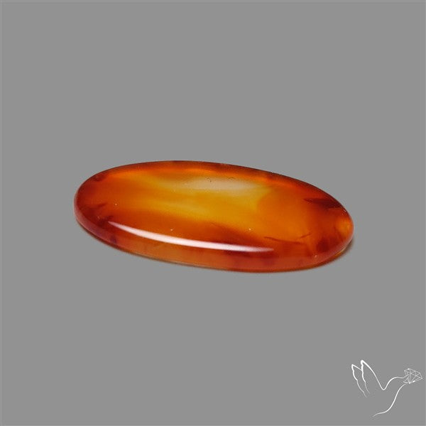 Gemmy Montana Agate Flat Slice Cabochon