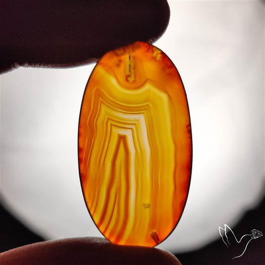 Gemmy Montana Agate Flat Slice Cabochon