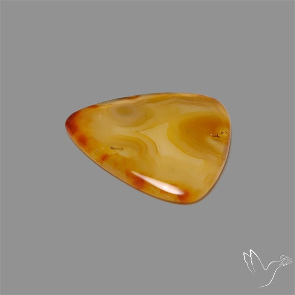 Gemmy Montana Agate Flat Slice Cabochon