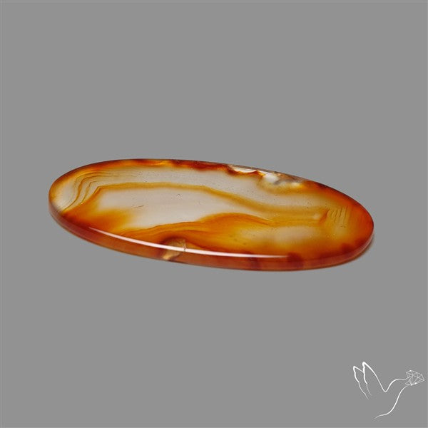 Gemmy Montana Agate Flat Slice Cabochon