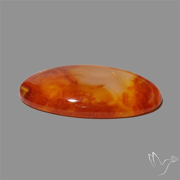 Montana Agate Cabochon