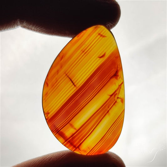 Montana Agate Cabochon