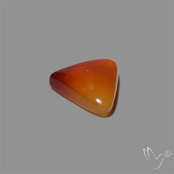 Montana Agate Cabochon