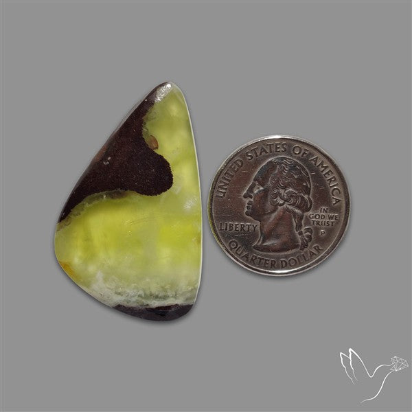 Bi-Colour Australian Prehnite Cabochon