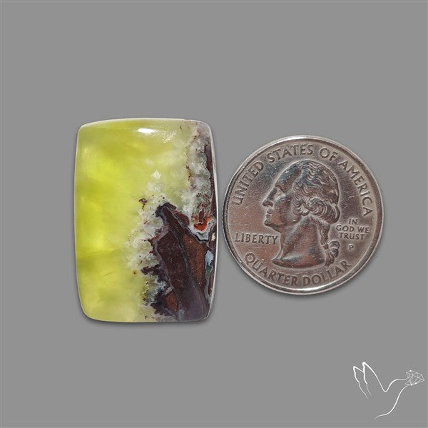Bi-Colour Australian Prehnite Cabochon