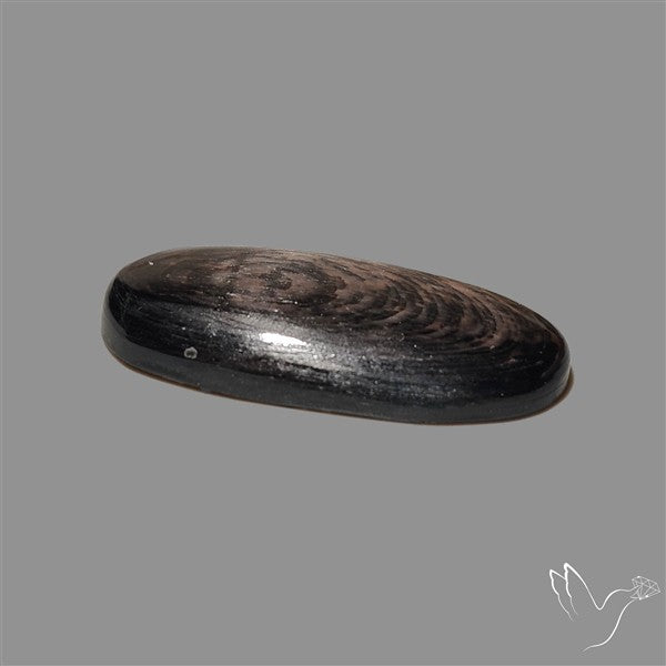 Hypersthene Cabochon