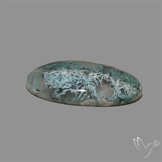 Horse Canyon Moss Agate Cabochon