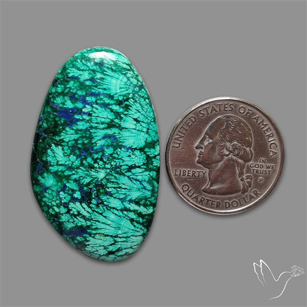 Lapis Inlay In Malachite Cabochon