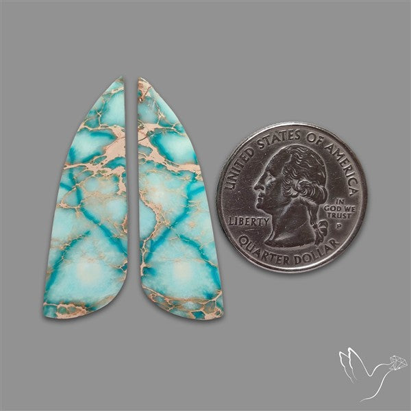 Sea Sediment Jasper Cabochons Pair