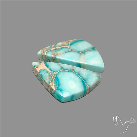 Sea Sediment Jasper Cabochons Pair