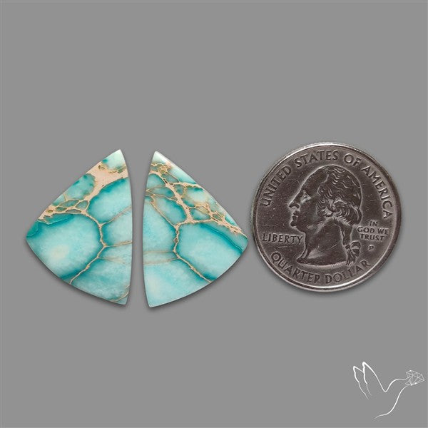 Sea Sediment Jasper Cabochons Pair