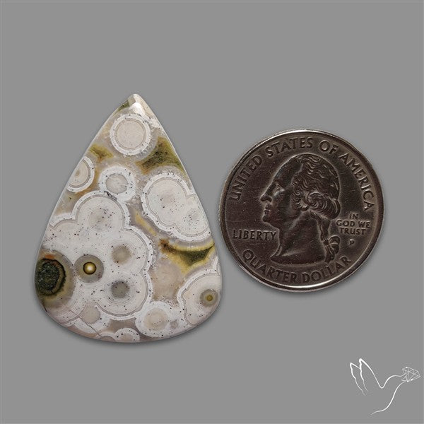 Orbicular Ocean Jasper Cabochon