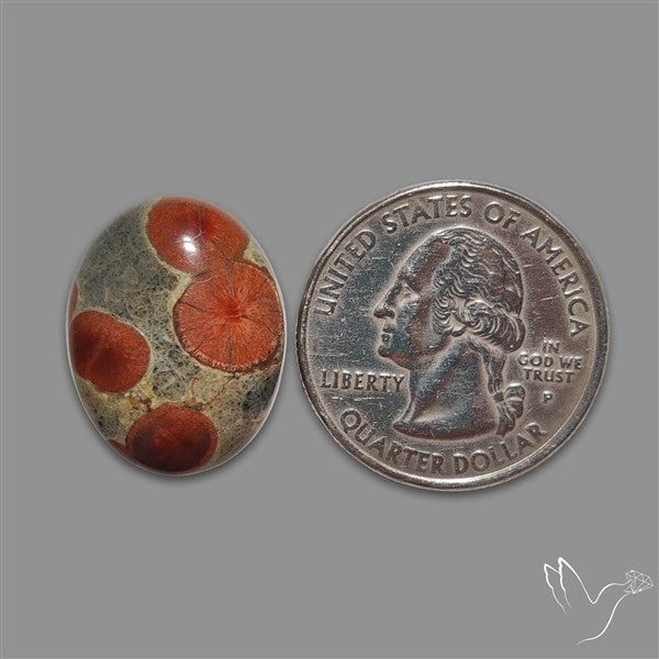 Peanut Obsidian Cabochon