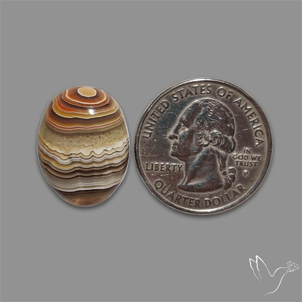 Crazylace Agate Cabochon