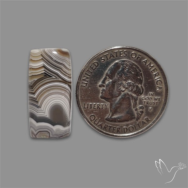 Crazylace Agate Cabochon