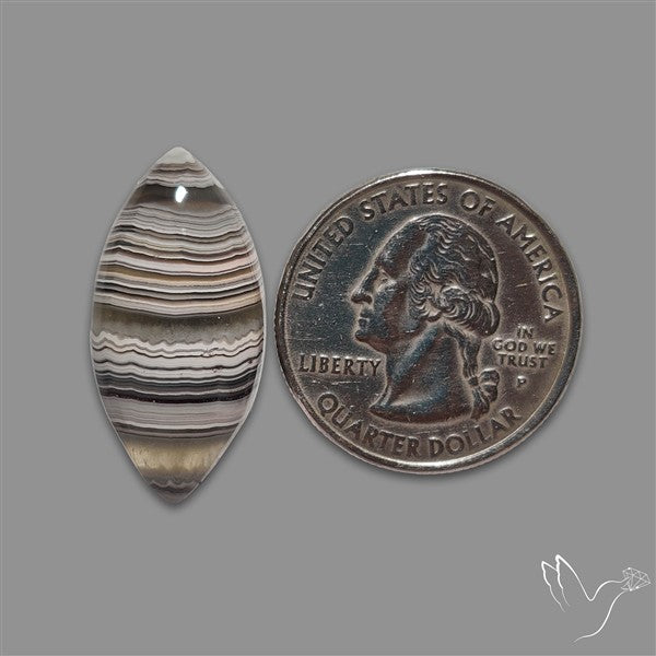 Crazylace Agate Cabochon