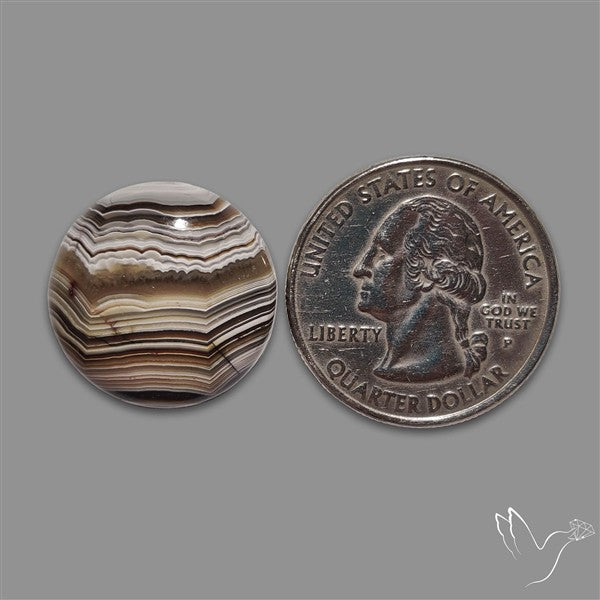 Crazylace Agate Cabochon