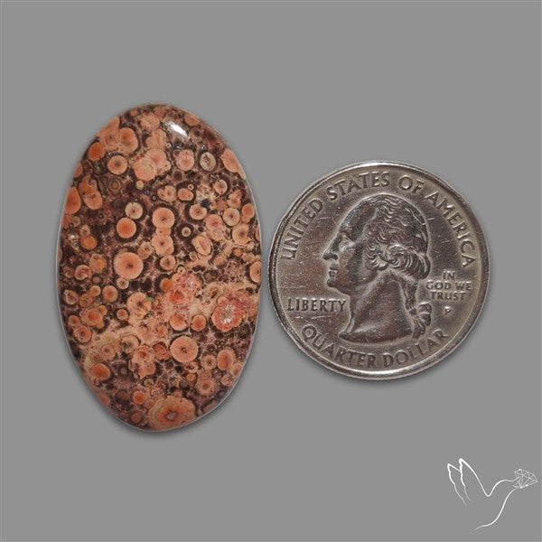 Poppy Jasper Cabochon with perfect orbicular patterns
