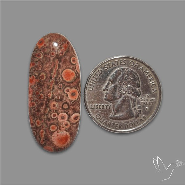 Poppy Jasper Cabochon with perfect orbicular patterns