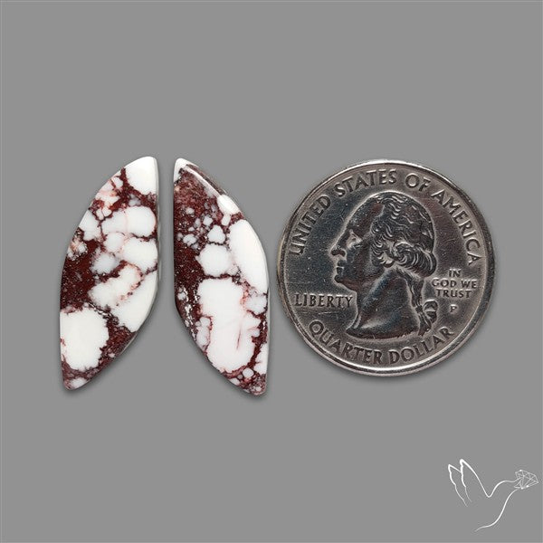 Wild Horse Jasper Cabochons Pair