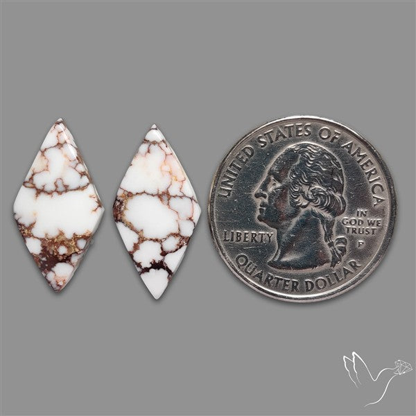 Wild Horse Jasper Cabochons Pair