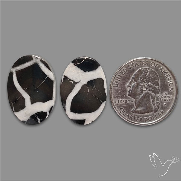 Black Septarian Cabochons Pair