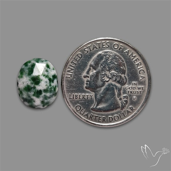 Rose Cut Chrome Diopside In Quartz