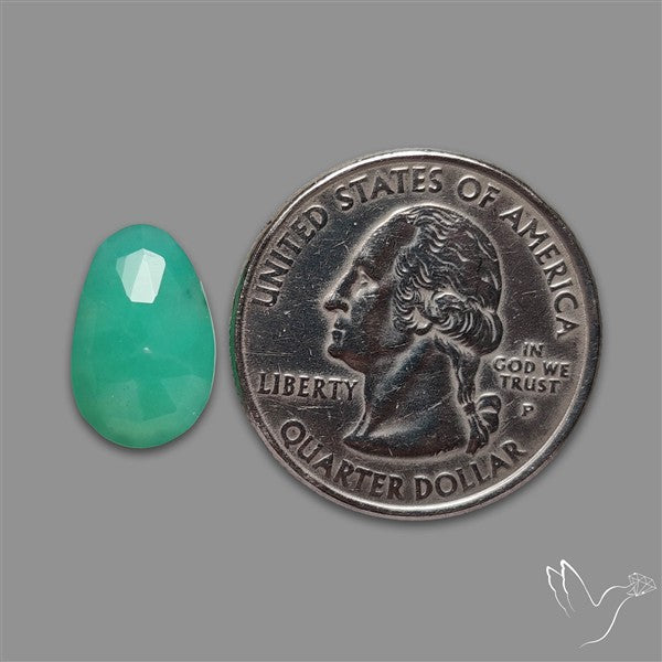 Rose Cut Gemmy Chrysoprase
