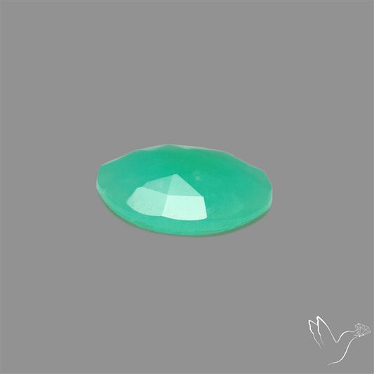 Rose Cut Gemmy Chrysoprase