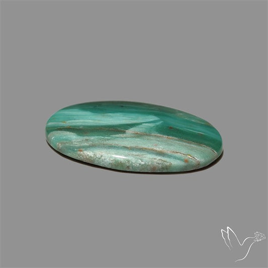 Larsonite Gary Green Jasper Cabochon
