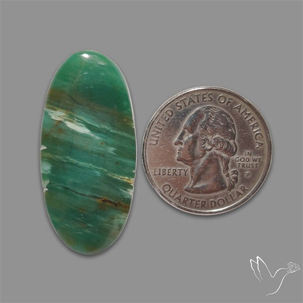 Larsonite Gary Green Jasper Cabochon