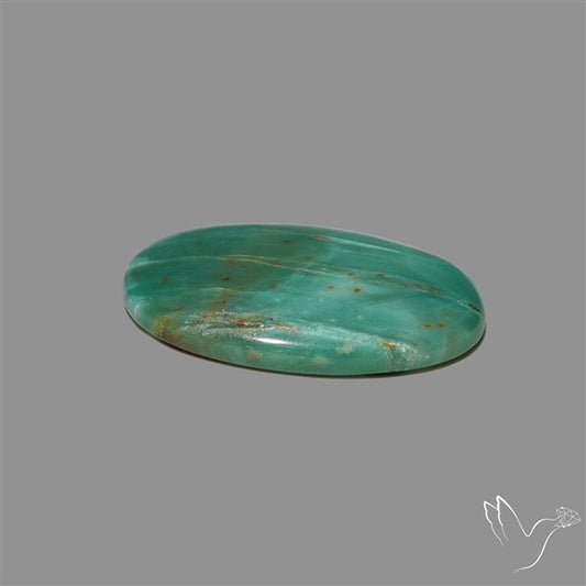 Larsonite Gary Green Jasper Cabochon