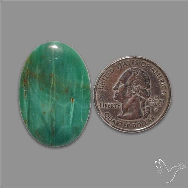Larsonite Gary Green Jasper Cabochon