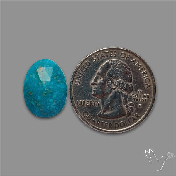 Rose Cut Morenci Turquoise With Pyrite Inclusions