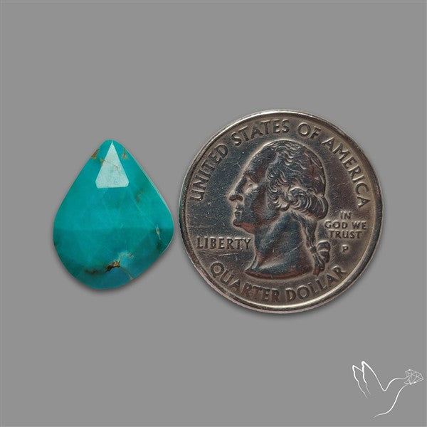 Rose Cut Kingman Turquoise