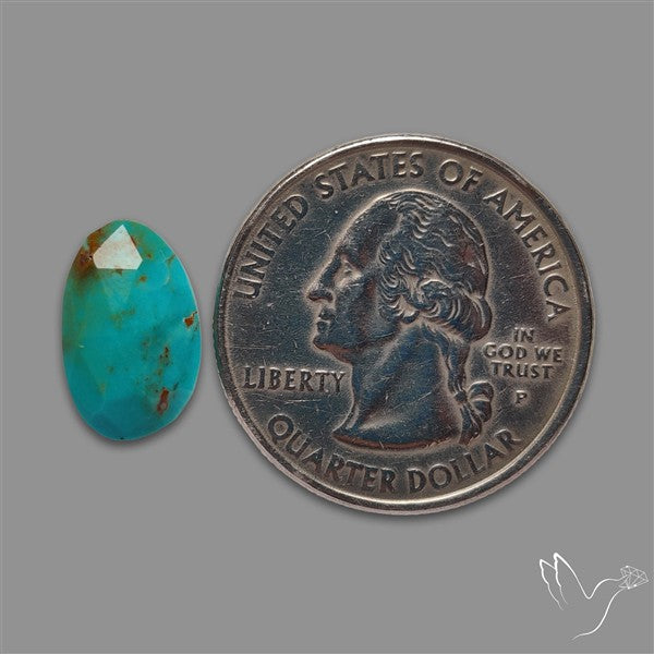Rose Cut Kingman Turquoise